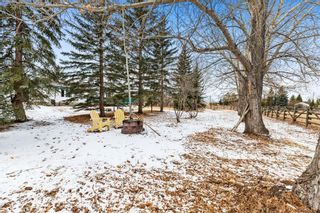Photo 40: 98012 2248 Drive E: Rural Foothills County Detached for sale : MLS®# A1183294