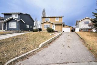 Photo 1: 243 Castlebrook Road NE in Calgary: Castleridge Detached for sale : MLS®# A1246240