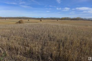 Photo 10: RR 214 TWP 624: Rural Thorhild County Vacant Lot/Land for sale : MLS®# E4317147