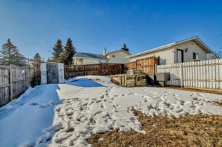 Photo 38: 112 Covington Road NE in Calgary: Coventry Hills Detached for sale : MLS®# A2034418