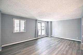 Photo 11: 316 111 14 Avenue SE in Calgary: Beltline Apartment for sale : MLS®# A1229303