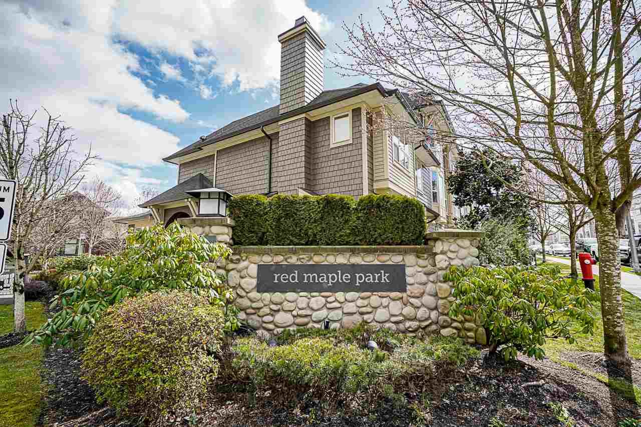 Main Photo: 53 7938 209 Street in Langley: Willoughby Heights Townhouse for sale in "Red Maple Park" : MLS®# R2559929
