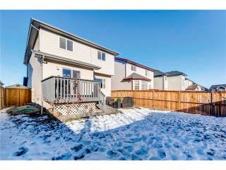 Photo 29: 41 ROYAL BIRCH Crescent NW in Calgary: Royal Oak House for sale : MLS®# C4041001