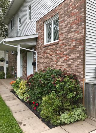 Photo 3: 74 Lyons Avenue in Halifax: 7-Spryfield Residential for sale (Halifax-Dartmouth)  : MLS®# 202309686
