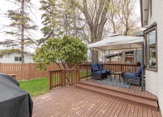 Photo 4: 19 English Place in Winnipeg: House for sale : MLS®# 202409823