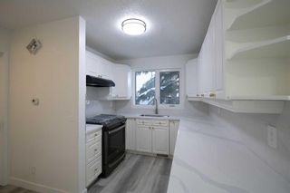 Photo 8: 14 Whiteram Place NE in Calgary: Whitehorn Semi Detached (Half Duplex) for sale : MLS®# A2113238