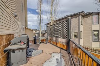 Photo 34: 130 Topaz Gate: Chestermere Detached for sale : MLS®# A2028095