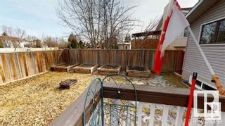 Photo 14: 5112 15 Avenue in Edmonton: Zone 29 House for sale : MLS®# E4301113