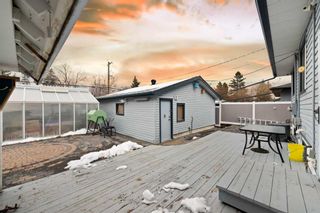 Photo 8: 146 Springwood Drive SW in Calgary: Southwood Detached for sale : MLS®# A2127968