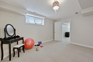 Photo 37: 138 Arbour Meadows Close in Calgary: Arbour Lake Detached for sale : MLS®# A2002526