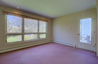 Photo 12: 1140 Studley Avenue in Halifax: 2-Halifax South Residential for sale (Halifax-Dartmouth)  : MLS®# 202008117