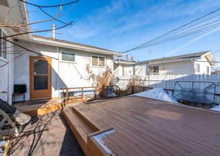 Photo 19: 351 94 Avenue SE in Calgary: Acadia Detached for sale : MLS®# A2026418