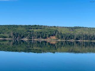 Photo 4: Lot 6 West Liscomb Point Road in West Liscomb: 303-Guysborough County Vacant Land for sale (Highland Region)  : MLS®# 202218956