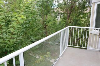 Photo 23: 308 2850 51 Street SW in Calgary: Glenbrook Apartment for sale : MLS®# A1242279