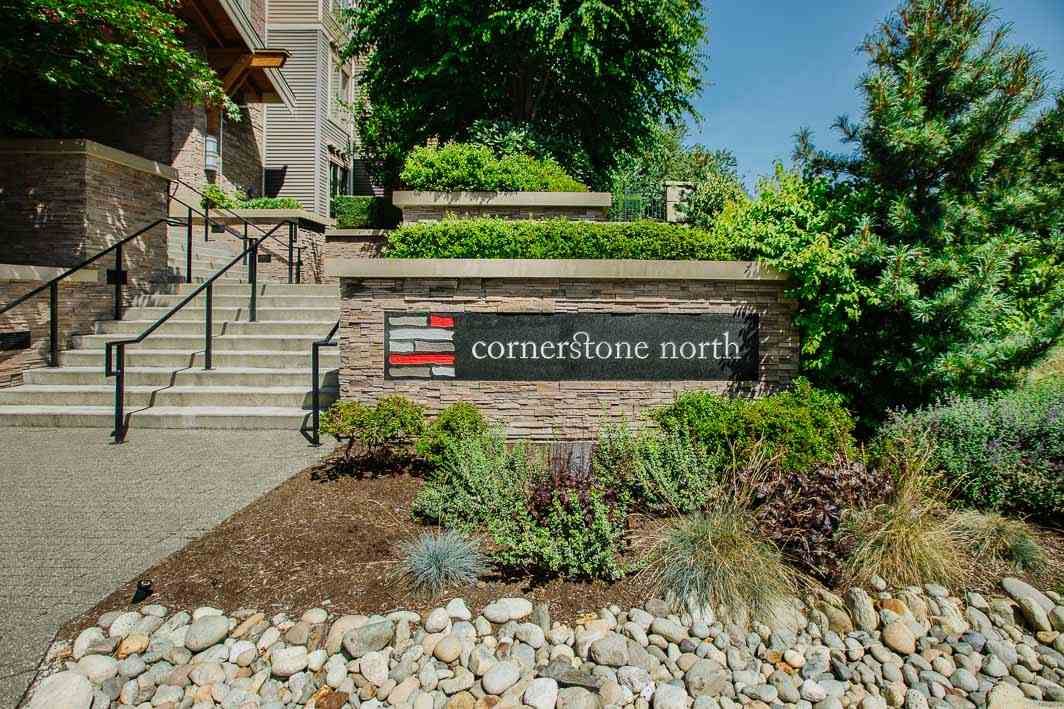 Main Photo: 116 5655 210A Street in Langley: Salmon River Condo for sale in "CORNERSTONE NORTH" : MLS®# R2478779
