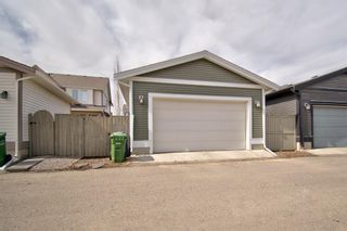 Photo 50: 318 Cooperstown Common SW: Airdrie Detached for sale : MLS®# A1203101