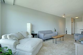 Photo 10: 1417 8710 Horton Road SW in Calgary: Haysboro Apartment for sale : MLS®# A1197972
