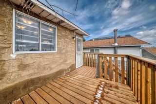 Photo 38: 147 Rundlecairn Road NE in Calgary: Rundle Detached for sale : MLS®# A2123670