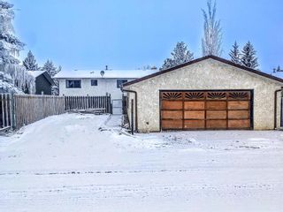 Photo 29: 1405 Idaho Street: Carstairs Detached for sale : MLS®# A1188481
