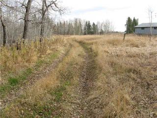 Photo 6: 3 miles east of Sundre in SUNDRE: Rural Mountain View County Rural Land for sale : MLS®# C3590774