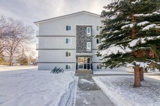 Photo 11: 105A 5601 Dalton Drive NW in Calgary: Dalhousie Apartment for sale : MLS®# A2113402