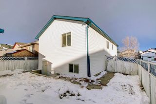 Photo 46: 180 Martin Crossing Close NE in Calgary: Martindale Detached for sale : MLS®# A1170962