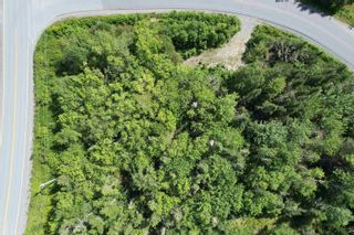 Photo 5: Lots Beaver Harbour Road in Beaver Harbour: 35-Halifax County East Vacant Land for sale (Halifax-Dartmouth)  : MLS®# 202316906