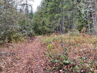 Photo 15: 292 Terry Road, in Enderby: Vacant Land for sale : MLS®# 10239679