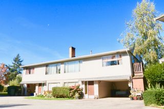 Photo 5: 8011 LUCAS Road in Richmond: Garden City Multi-Family Commercial for sale in "Laddy Court" : MLS®# C8054833