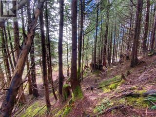 Photo 13: LOTS 3, 4, 5 E 9TH AVENUE in Prince Rupert: Vacant Land for sale : MLS®# R2872198