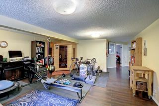 Photo 26: 5104 Norris Road NW in Calgary: North Haven Detached for sale : MLS®# A1224114