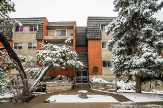 Photo 1: 202 222 5 Avenue NE in Calgary: Crescent Heights Apartment for sale : MLS®# A2123806