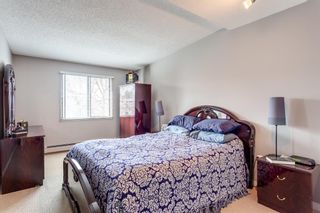 Photo 15: 303 2214 14A Street SW in Calgary: Bankview Apartment for sale : MLS®# A1212171