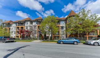 Photo 15: 307 12207 224 Street in Maple Ridge: West Central Condo for sale in "THE EVERGREEN" : MLS®# R2384261