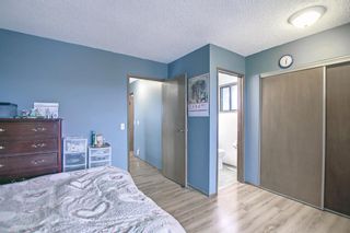 Photo 28: 33 Templeton Bay NE in Calgary: Temple Detached for sale : MLS®# A1199751