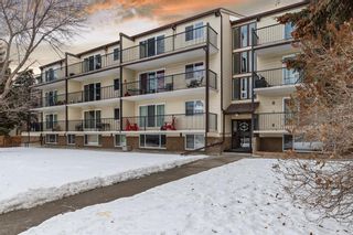 Photo 19: 405 635 56 Avenue SW in Calgary: Windsor Park Apartment for sale : MLS®# A2015574