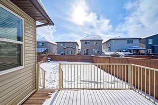 Photo 46: 55 Walden Court SE in Calgary: Walden Detached for sale : MLS®# A2031648