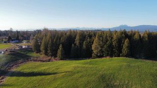Photo 6: 6077 ROSS Road in Abbotsford: Bradner House for sale : MLS®# R2863705