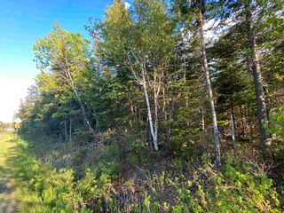 Photo 3: 16 acres Caribou Island Road in Caribou Island: 108-Rural Pictou County Vacant Land for sale (Northern Region)  : MLS®# 202201031
