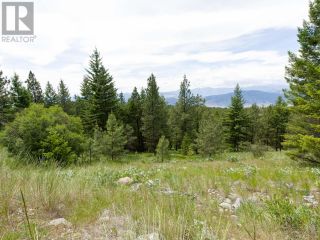 Photo 34: LOT 4 WHITETAIL Place in Osoyoos: Vacant Land for sale : MLS®# 198188
