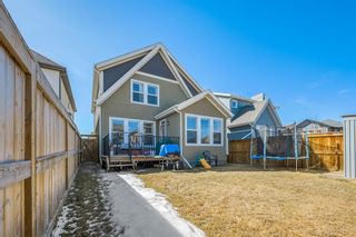 Photo 31: 10 Masters Rise SE in Calgary: Mahogany Detached for sale : MLS®# A2081503