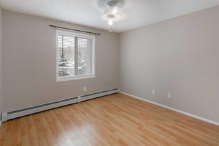 Photo 20: 104 4000 Citadel Meadow Point NW in Calgary: Citadel Apartment for sale : MLS®# A2128486