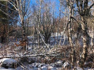 Photo 29: Lot 5 Lakeview Drive in Lake La Rose: Annapolis County Vacant Land for sale (Annapolis Valley)  : MLS®# 202300542