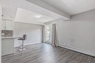 Photo 11: 106 1820 9 Street SW in Calgary: Lower Mount Royal Apartment for sale : MLS®# A2053756