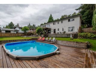 Photo 20: 2280 SENTINEL Drive in Abbotsford: Central Abbotsford House for sale : MLS®# R2087208
