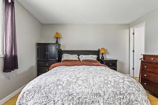 Photo 14: 456 Cedarille Crescent SW in Calgary: Cedarbrae Detached for sale : MLS®# A2129874
