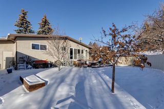 Photo 33: 121 Brantford Crescent NW in Calgary: Brentwood Detached for sale : MLS®# A2012065
