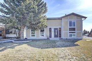 Photo 32: 47 Stafford Street: Crossfield House for sale : MLS®# C4179003