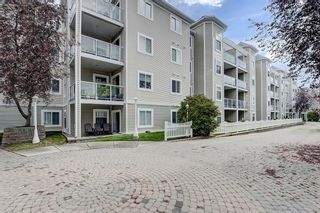 Photo 37: 319 290 Shawville Way SE in Calgary: Shawnessy Apartment for sale : MLS®# A2003821