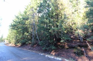 Photo 2: Lot 22 Vickers Trail: Anglemont Vacant Land for sale (North Shuswap)  : MLS®# 10243424